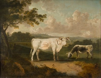 Kenwood, il bestiame di razza di Lord Mansfield, 1797 da Julius Caesar Ibbetson